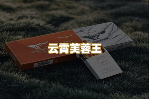 云霄芙蓉王